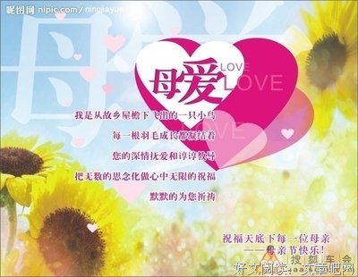 关于随心的优美句子