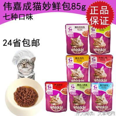 一条腐败的狗