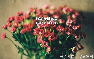 关于刘郎的唯美语录