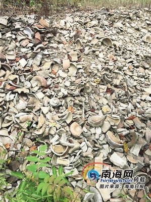 有关剑青的美文美句摘抄