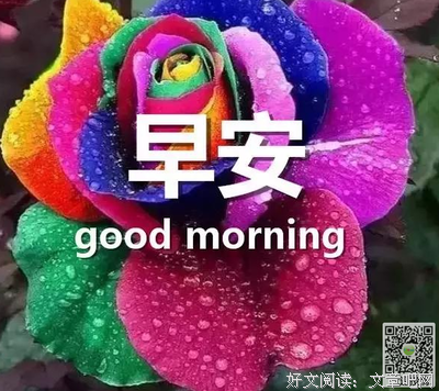 关于笑子的唯美语录