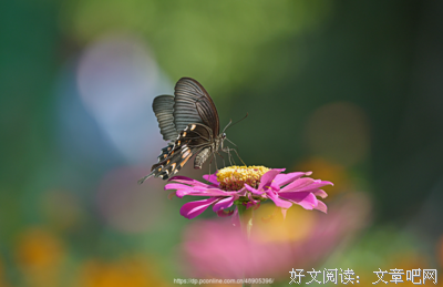 关于梁祝的座右铭