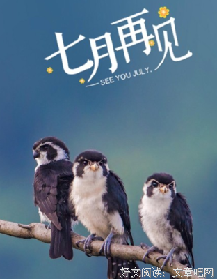 有关情感的句子