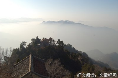 《芦苇荡的时光》经典观后感集