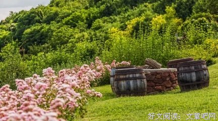 为什么要在老家留套房，看完你就懂了