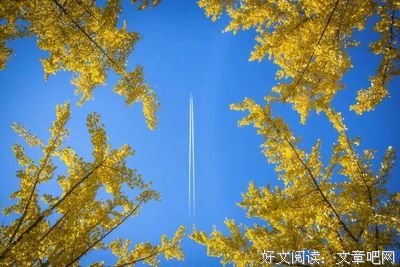 秋叶那么美，谁还看花？