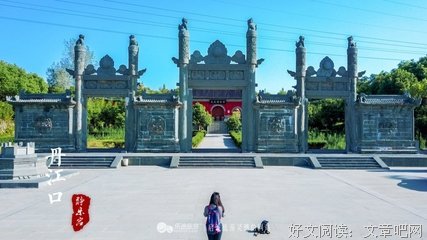 关于茶医.的优美句子