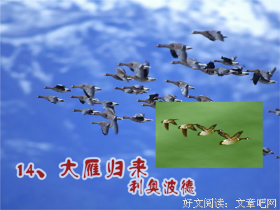 描写自私的经典句子