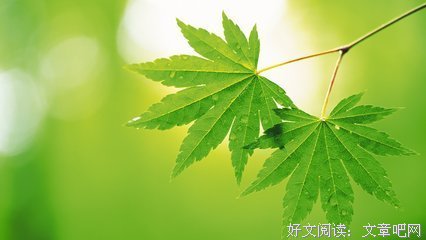 爱书人的功有上主心的句子