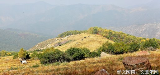 暗伤凉城的句子