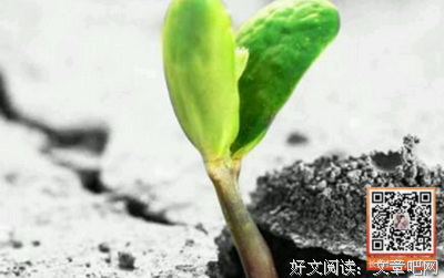 关于人生哲理的句子