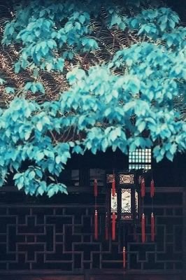 描写世事洞明的经典句子
