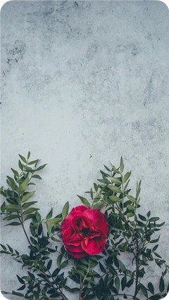 一段关系真正的结束方式