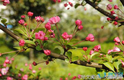 关于摘抄的句子