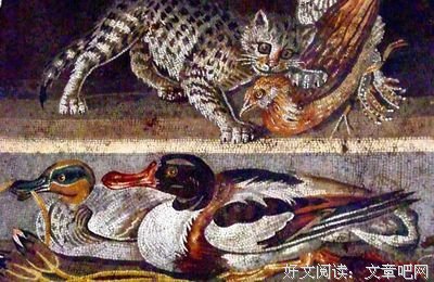 《庞贝》读后感精选10篇