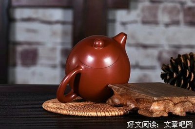《龙蛋》经典读后感10篇