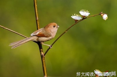 云轩的名人名言