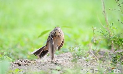 知恩图报格言警句