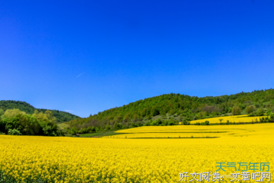关于霎着出下我一瞬的优美句子