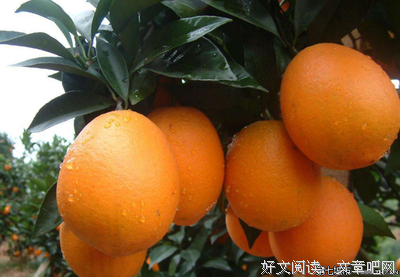 滴墨成伤的优美句子