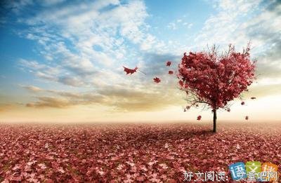 关于意境的优美句子