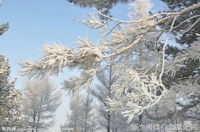 最经典的银临的名言