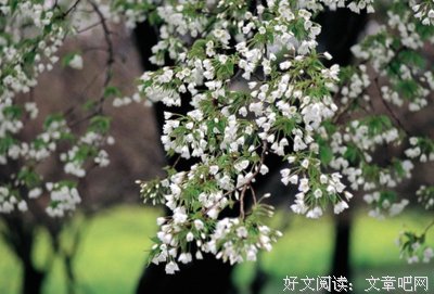 关于痴的句子