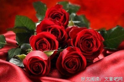 心酸优美的句子