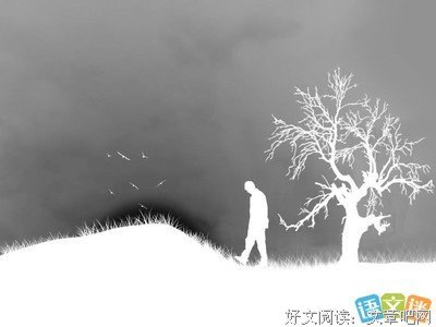 《黄阿玛的日常：被猫咪包围的日子》读后感精选10篇