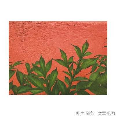 破破的句子