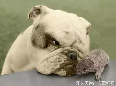 关于一字一句的句子