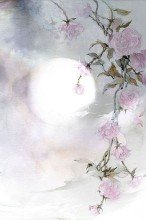 着而伴星如昨优美的句子