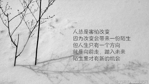 《唯美》的句子