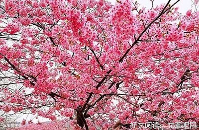 风雨人生，自己撑伞！