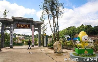 胖鱼碎碎念：一个柚子，引发的一场意外事件
