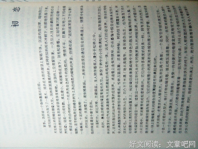 关于王下的语句