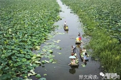关于周嘉鱼的名句摘抄