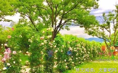 人生三句话， 句句都无价！