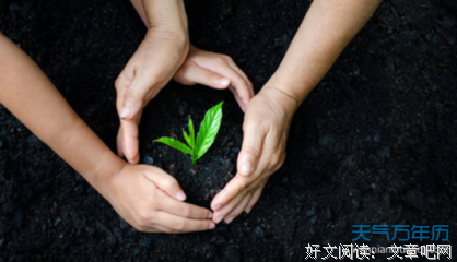 关于美句的句子