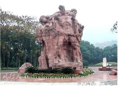 最经典的《遇见好实茶花》语录摘抄