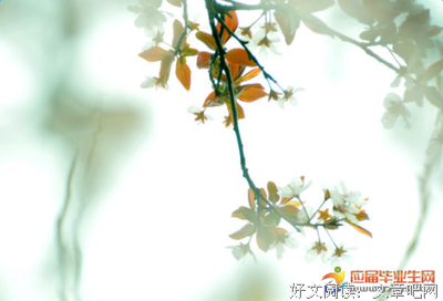 最新的《好的往风却任有得明》经典的句子