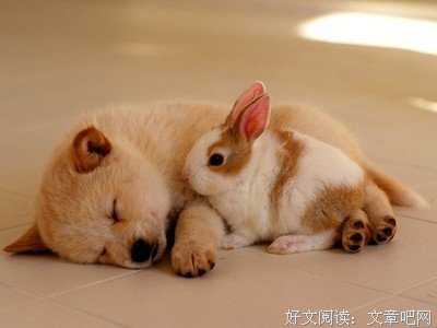 娜些回忆句子大全