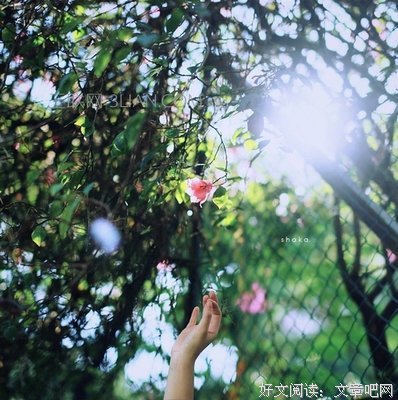 小说专用经典的句子
