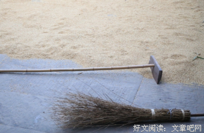 什么是家？（看到泪流）