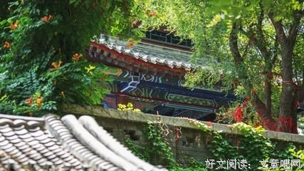 老朋友们，往后余生，请做一个自私的人（深度好文）