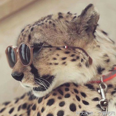 关于丽君的语句