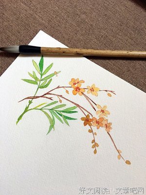 接受曲折 —— 阳光心态 灿烂人生