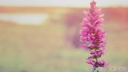 终身受用的社交规则，最好背下来！