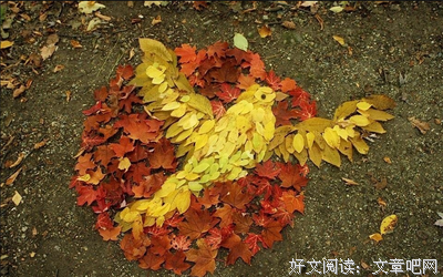 深情不改句子大全