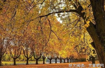 好好过经典的句子